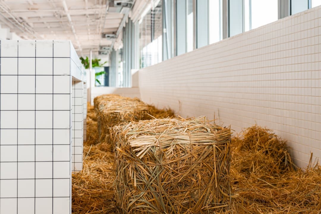 Decorar habitación: Precio y Presupuestos