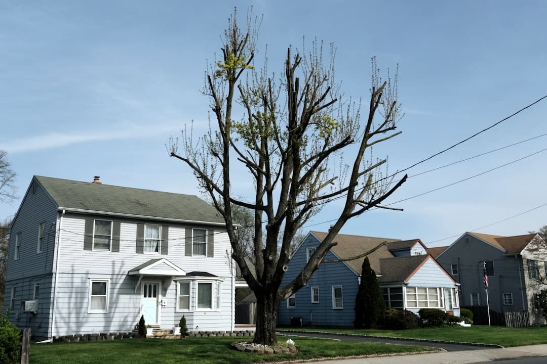 Trimming High Trees