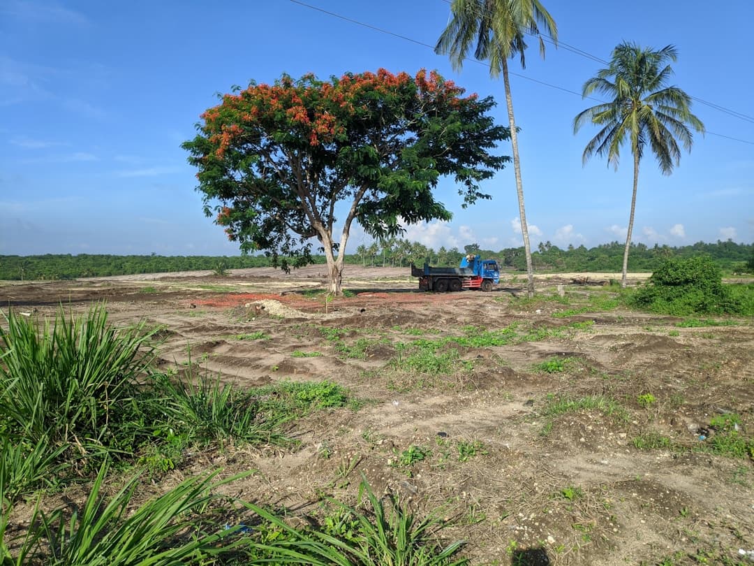 Debroce de terrenos: Precio y Presupuestos