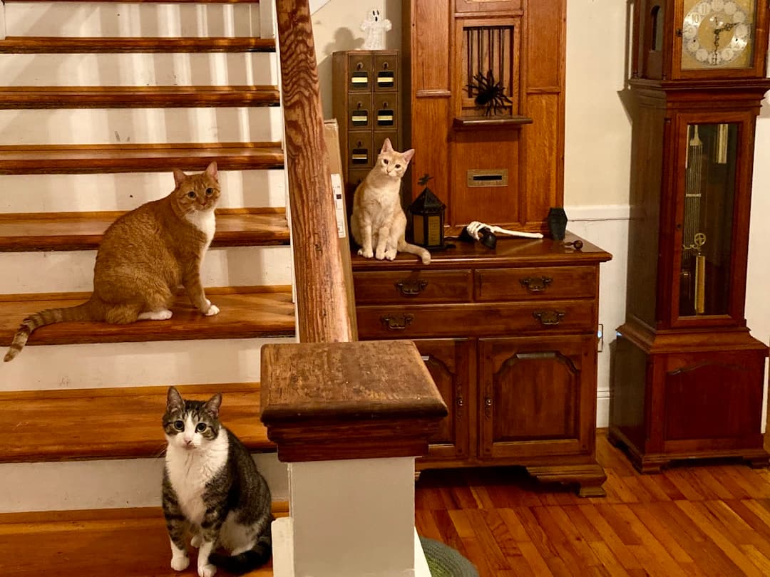 How Much Does Making Custom Sofa Covers Cost?